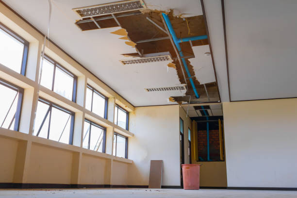 Best Sewage cleanup and water damage restoration  in Elkhorn, CA