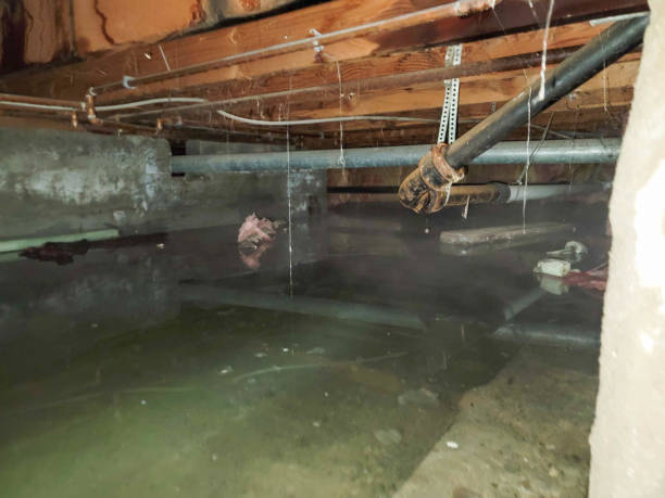 Carpet water damage restoration in Elkhorn, CA