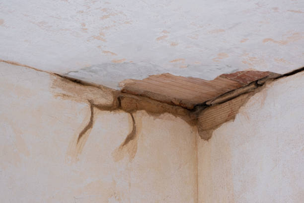 Elkhorn, CA Water damage restoration Company