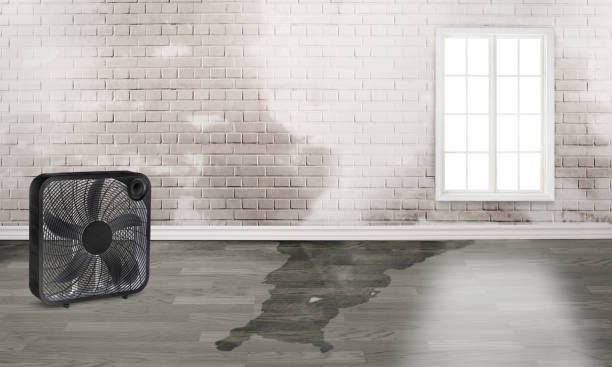 Best Fire Damage Restoration  in Elkhorn, CA