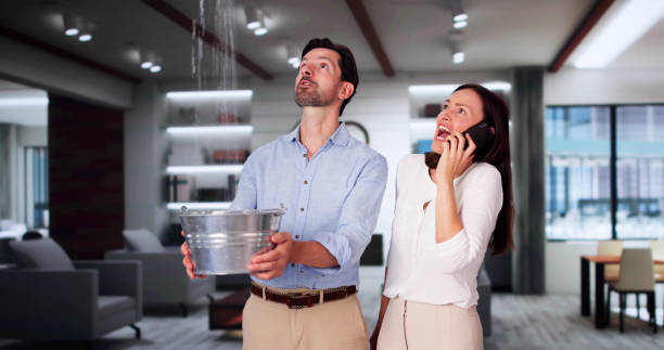 Best Water damage restoration near me  in Elkhorn, CA